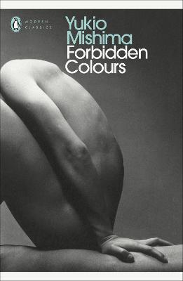 Forbidden Colours (Penguin Modern Classics)