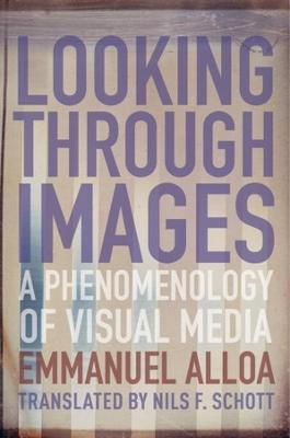 Columbia Themes in Philosophy, Social Criticism, and the Arts #: Looking Through Images
