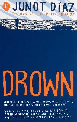 Drown (Collection of Stories)