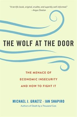 Wolf at the Door, The: The Menace of Economic Insecurity and How to Fight It