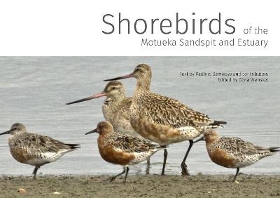 Shorebirds of the Motueka Sandspit & Estuary