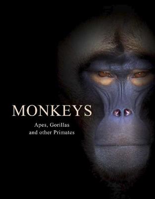 Animals: Monkeys