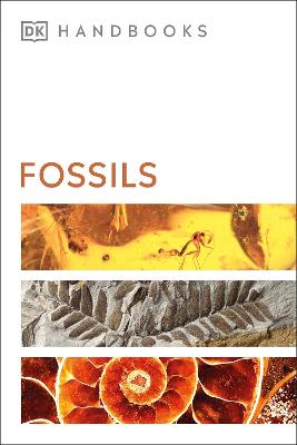 DK Handbooks #: Fossils