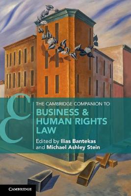 Cambridge Companions to Law #: The Cambridge Companion to Business and Human Rights Law