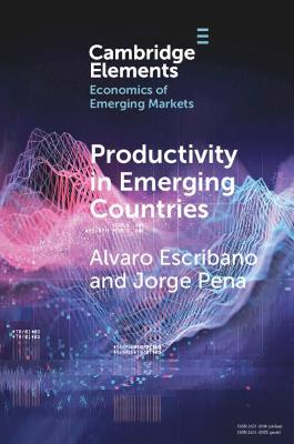 Productivity in Emerging Countries