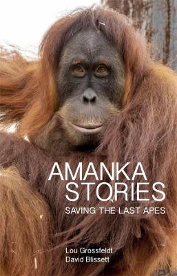 Amanka Stories: Saving the Last Apes