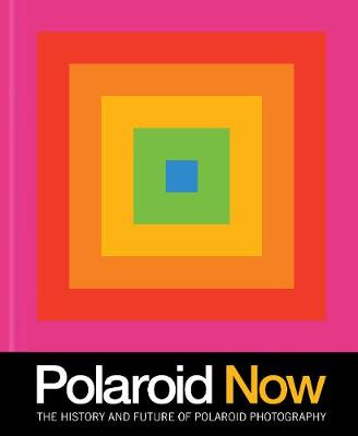 Polaroid Now (Graphic Novel)