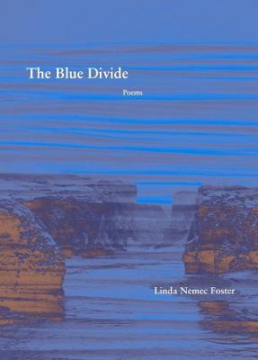 The Blue Divide