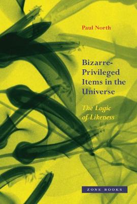 Bizarre-Privileged Items in the Universe - The Logic of Likeness