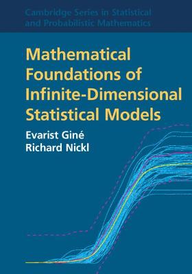 Cambridge Series in Statistical and Probabilistic Mathematics #: Mathematical Foundations of Infinite-Dimensional Statistical Models