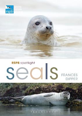 RSPB #: RSPB Spotlight Seals