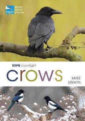 RSPB #: RSPB Spotlight Crows