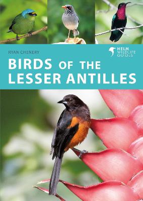 Helm Wildlife Guides #: Birds of the Lesser Antilles