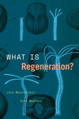 Convening Science: Discovery at the Marine Biological Laboratory #: What Is Regeneration?