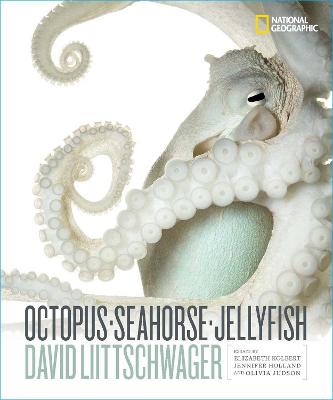 Octopus, Seahorse, Jellyfish