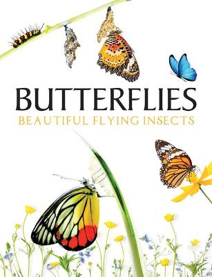 Animals: Butterflies