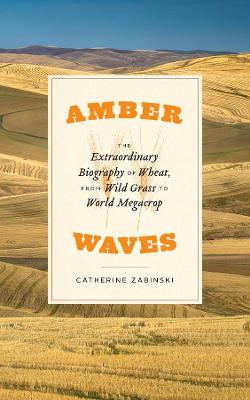 Amber Waves: The Extraordinary Biography of Wheat, from Wild Grass to World Megacrop