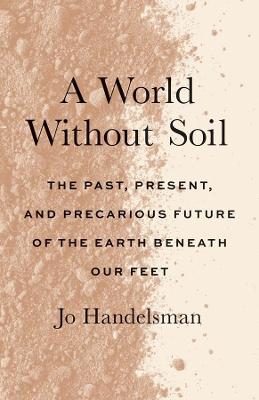 A World Without Soil