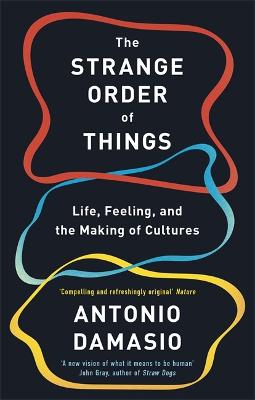 Strange Order of Things, The: Life, Feeling, and the Making of Cultures