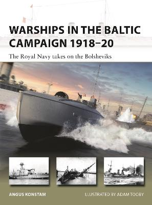 Warships in the Baltic Campaign 1918-20