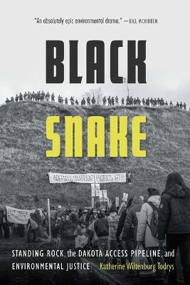 Black Snake