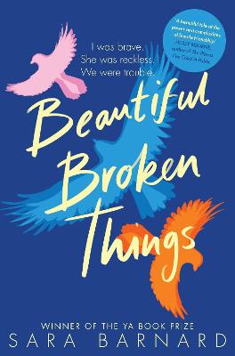 Beautiful Broken Things #01: Beautiful Broken Things