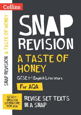 A Taste of Honey AQA GCSE 9-1 English Literature Text Guide