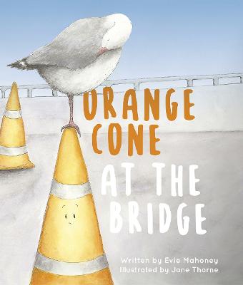 Orange Cone at the Bridge