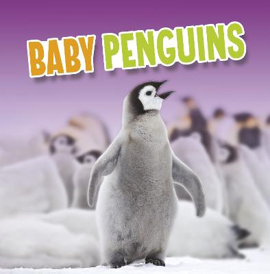 Baby Animals: Baby Penguins