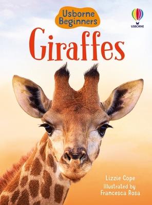 Beginners: Giraffes
