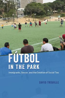 Fieldwork Encounters and Discoveries #: Futbol in the Park