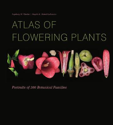 Atlas of Flowering Plants: Visual Studies of 200 Deconstructed Botanical Families