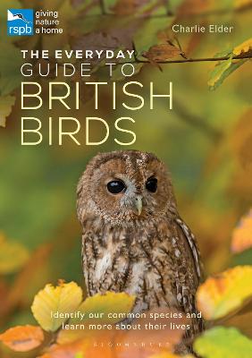 Everyday Guide to British Birds, The: Identify Our Common Species and Learn More about Their Lives