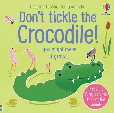 Touchy-Feely Sound Books: Don't tickle the Crocodile! (Sound Book)