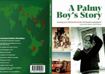 A Palmy Boy's Story