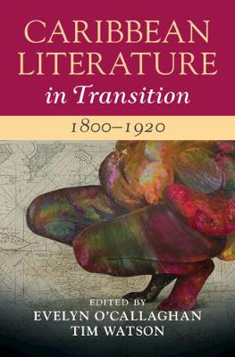 Caribbean Literature in Transition #: Caribbean Literature in Transition, 1800-1920: Volume 1