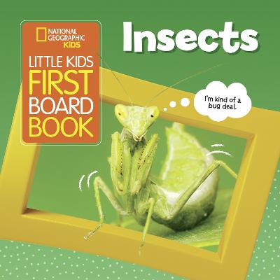 National Geographic Kids Little Kids First Board Book: Insects