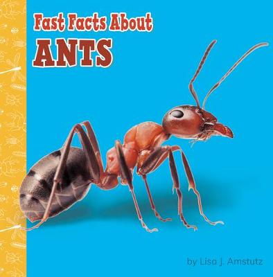 Fast Facts about Ants