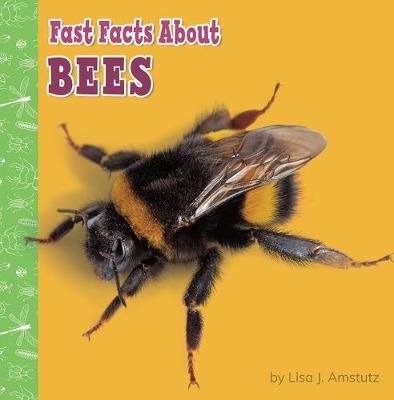 Fast Facts about Bees