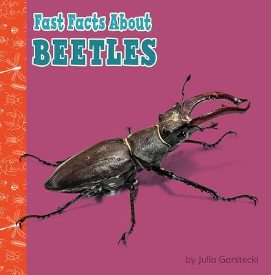 Fast Facts about Beetles