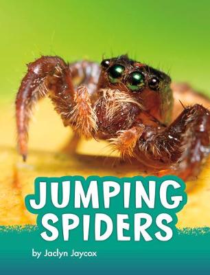 Animals: Jumping Spiders