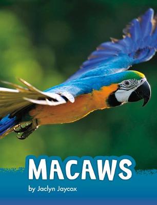 Animals: Macaws