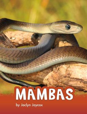 Animals: Mambas