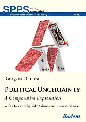 Political Uncertainty: A Comparative Exploration