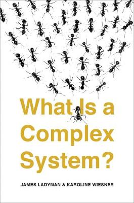 What Is a Complex System?