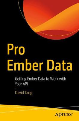 Pro Ember Data  (1st Edition)