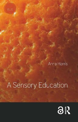Sensory Studies: A Sensory Education