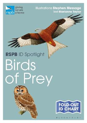 RSPB #: Spotlight Birds of Prey