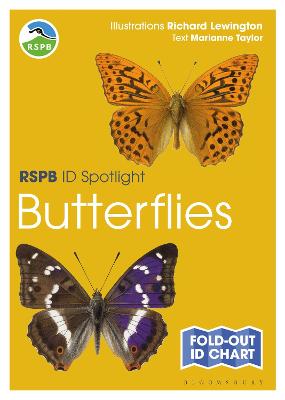 RSPB #: ID Spotlight: Butterflies