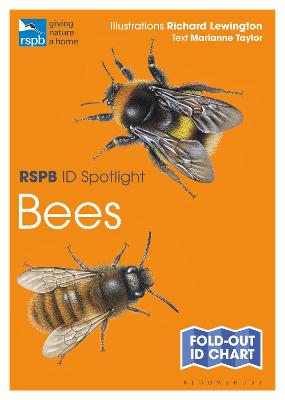 RSPB #: ID Spotlight: Bees